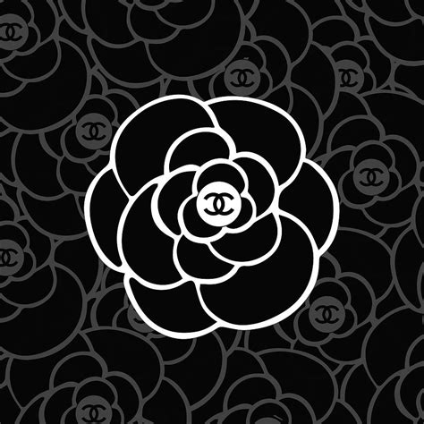 chanel camellia wallpaper|chanel summer 2024 wallpaper.